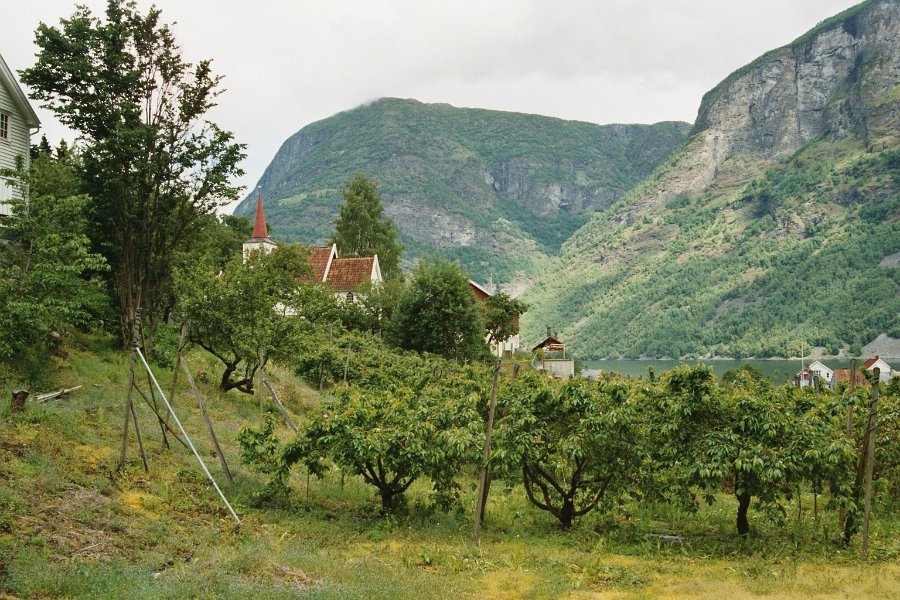 2003060506 undredal
